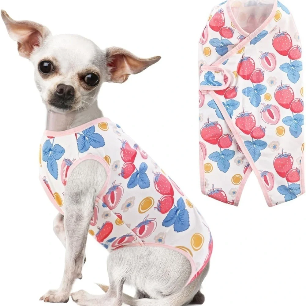Spay suit